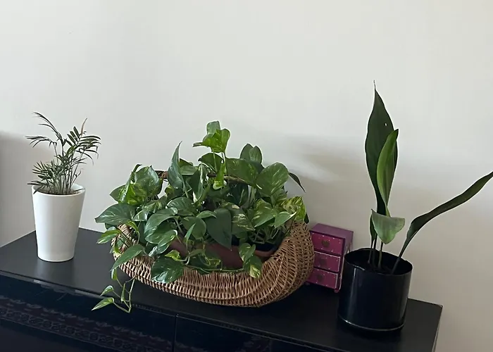 Friends And Family * Brescia